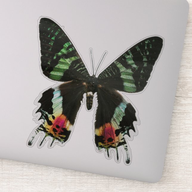 Adesivo Borboleta multicoloração iridescente (Detalhe)