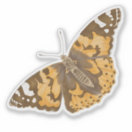 Adesivo Borboleta Realista Laranja e Marrom Desenhada à Mã