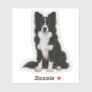 Adesivo Border Collie sentado