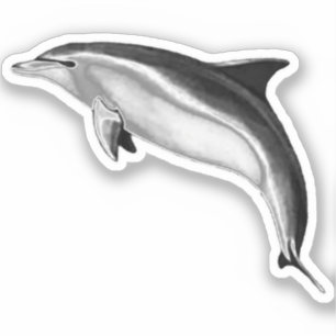 ADESIVO BOTTLENOSE DOLPHIN
