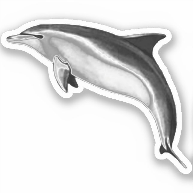 ADESIVO BOTTLENOSE DOLPHIN (Frente)