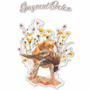 Adesivo Brittany Spaniel, Caçando Pheasant Sticker