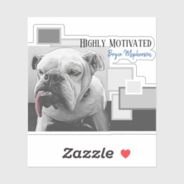 Adesivo Buldogue altamente motivado