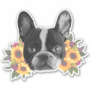 Adesivo Bulldog Francês na Flor Sticker