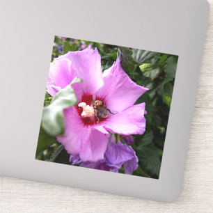Adesivo Bumblebee na Flor de Hibiscus
