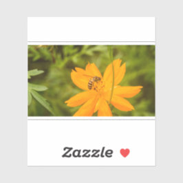 Adesivo Bumblebee on a Sulfur Cosmos