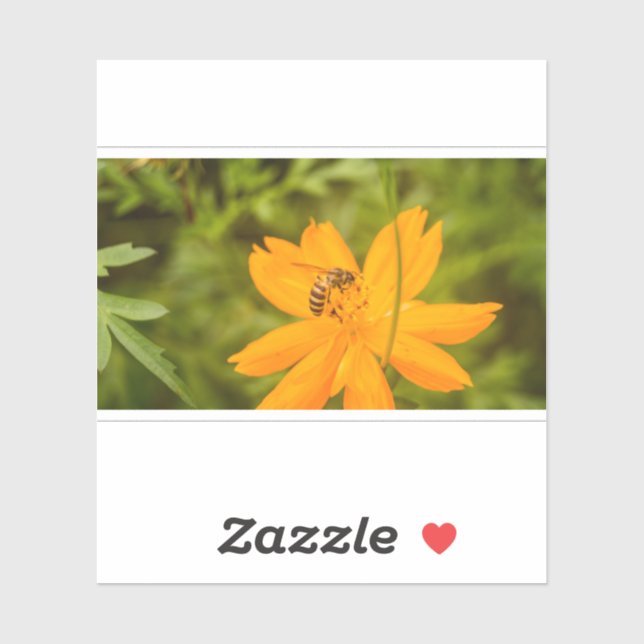 Adesivo Bumblebee on a Sulfur Cosmos (Folha)