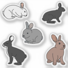 Adesivo Bunny Rabbits