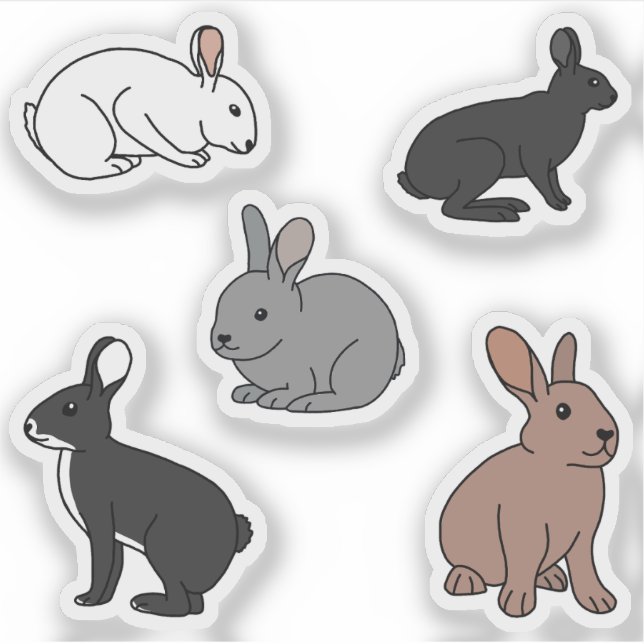 Adesivo Bunny Rabbits (Frente)