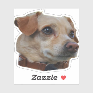 Adesivo Buster Sticker
