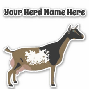 Adesivo Cabra Dairy Personalizada Nigeriana