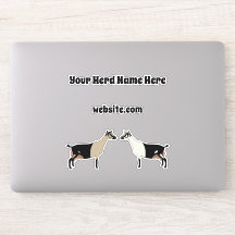 Cabra Leiteira Alpina Personalizada