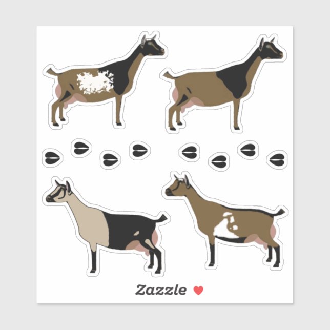 Adesivo Cabra Leiteira Nigeriana (Folha)