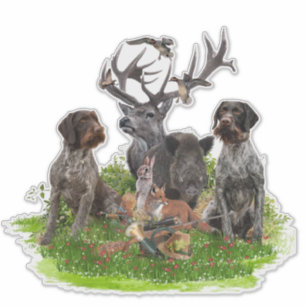 Adesivo Caça com o ponteiro alemão Wirehaired Sticker