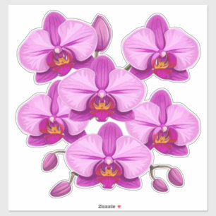 Adesivo Cacho de Flores de Orquídea Rosa Vibrante