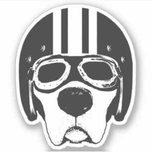 Adesivo Cachorro Amarelo no Helmet & Goggles Vinyl Sticker