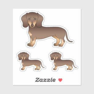 Adesivo Cachorro Bonito Dachshund de Pelo Liso Chocolate e