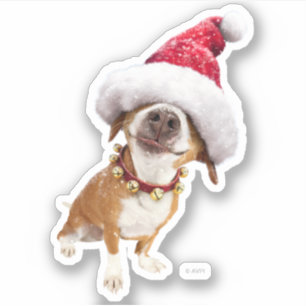 Adesivo Cachorro Com Grande Chapéu De Papai Noel