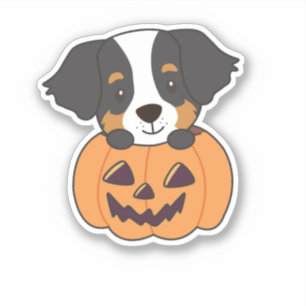 Adesivo Cachorro De Montanha Bernese Em Cães De Pumpkin Fe