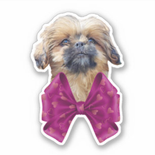 Adesivo Cachorro Fofo Nala Shih Tzu