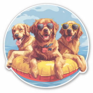 Adesivo Cachorros de ouro para varejo Piscinas de verão