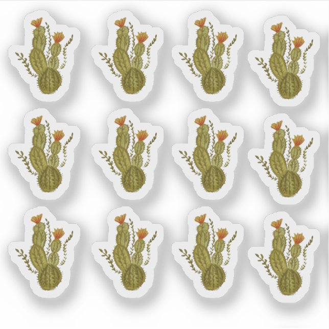 Adesivo Cactus Pintou Elegante Vegetal Elegante (Frente)