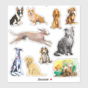 Adesivo Cães, chicote, cachorrinho, spaniel de berbigão
