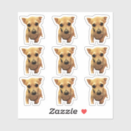 Adesivo Cães Chihuahua Fofos 4Carly