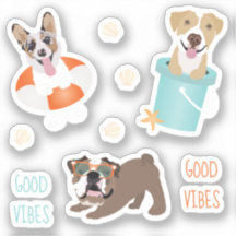 Cães de Praia Boas Víbias