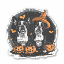 Cães Terrier de Boston Halloween