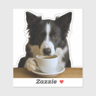 Adesivo Café com o Collie