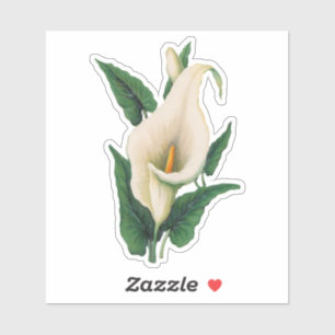 Adesivo Calla Lily Sticker