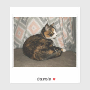 Adesivo Callie Cat em Sofa