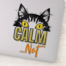 Calma... Não. Os muitos humores do gato