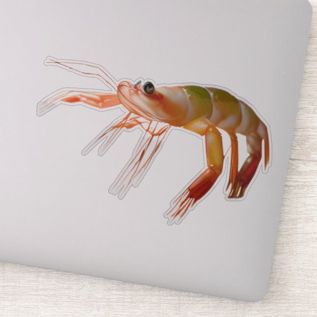 Adesivo Camarão cara pequeno forte (Detalhe)