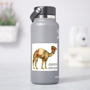 Adesivo Camelo de espetáculo do circo da Vintage