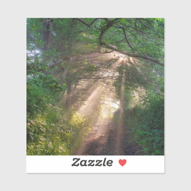 Adesivo Caminho da Floresta (Folha)