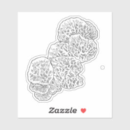 Adesivo Campamalia Mushroom Sticker