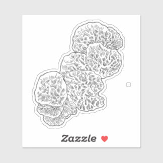 Adesivo Campamalia Mushroom Sticker