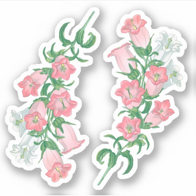 Adesivo Canterbury Bells for Rua. Thomas Becket (fL) - (Frente)