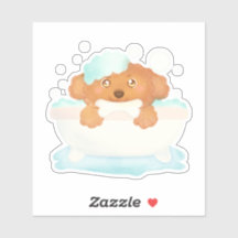 Cão Alinhando Salão