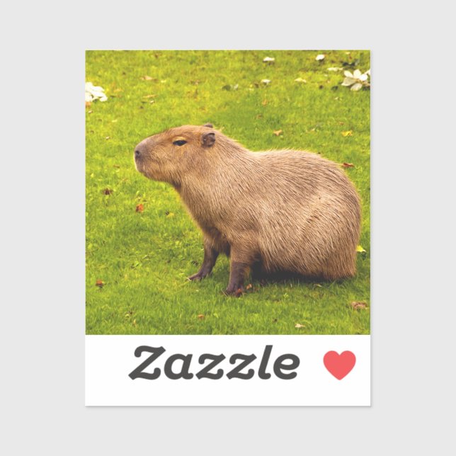 Adesivo Capivara (Folha)