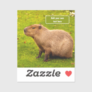 Adesivo Capivara Personalizada