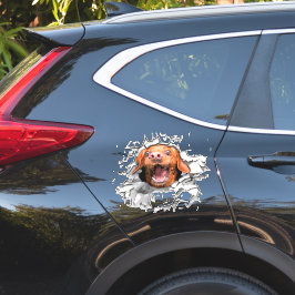 Adesivo Cara de cão engraçado, Sticker