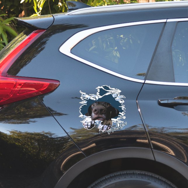 Adesivo Cara de cão estranho (Lado do carro)