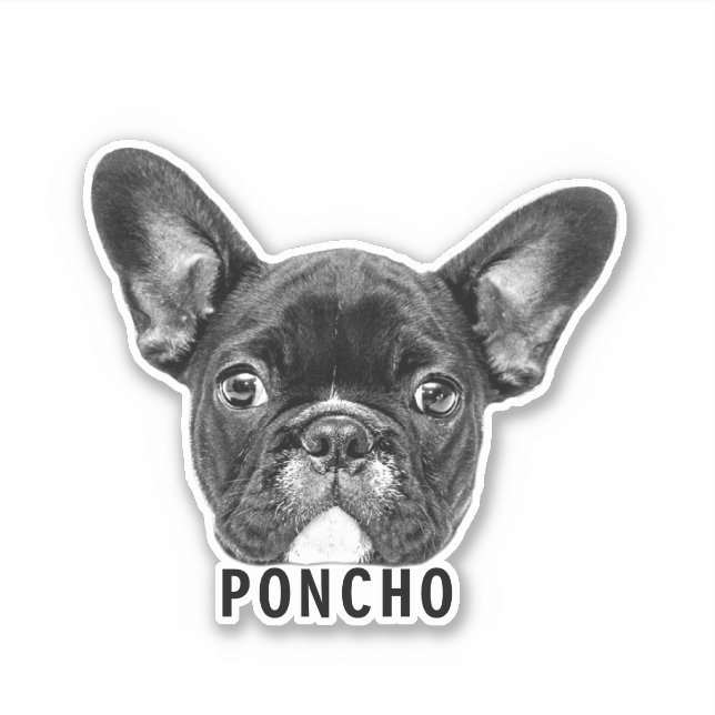 Adesivo Carregar Pet Face Foto e Nome Autocolante Personal (Frente)