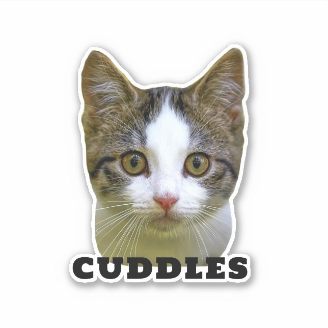 Adesivo Carregue o Pet Photo & Name Personalised Sticker (Frente)