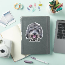 Carregue o Pet Photo & Name Personalised Sticker