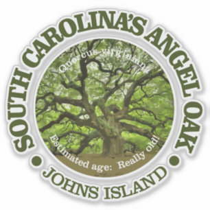 Adesivo Carvalho do anjo