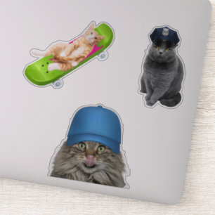 Adesivo Cat no skate